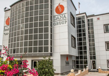 Dana Group Telecommunication Systems and Services
