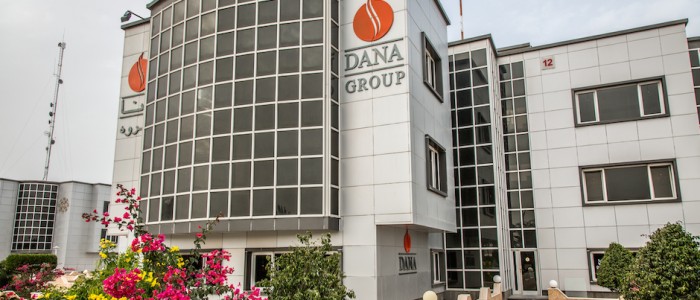 Dana Group Telecommunication Systems and Services